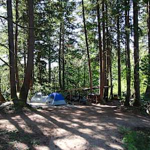 Sunshine Coast Blue Zone ~Campsite