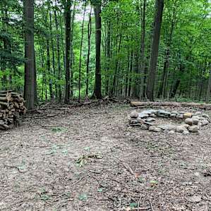 Firewood provided and the firepit.