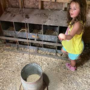 Collecting eggs was our favorite chore!