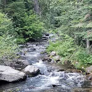 Looking up the creek from the pedestrian bridge