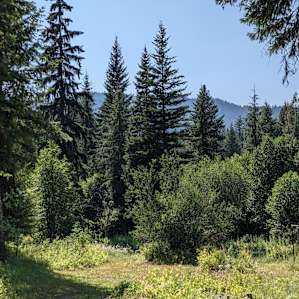 Yurt Glamping & Breakfast