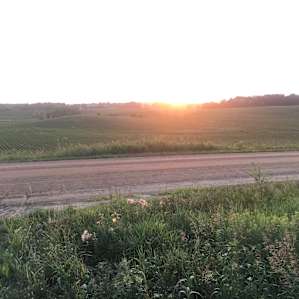 The sunset taken at the end of their driveway.