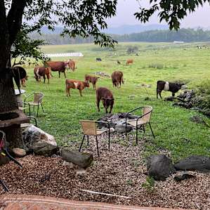 Pasture views