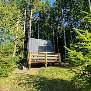 Nestled right in the trees...