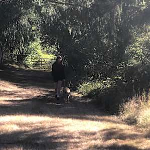 Dog friendly
