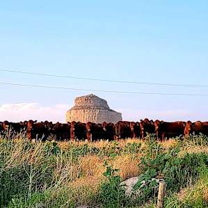 Beautiful location by the National Monument