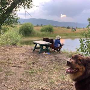 Colorado Meadows & Fishing Pond