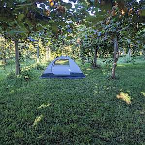 Orchard Nest