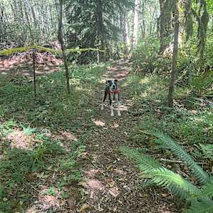 Wetlands and Woods Private Camping