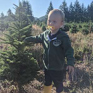The Arboretum - Cedars