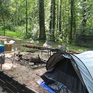 Animal Ed.ventures Sanctuary: ES #1
