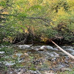 Look’s Mill