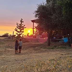 Camp at our farm sanctuary!