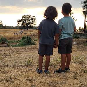 Camp at our farm sanctuary!