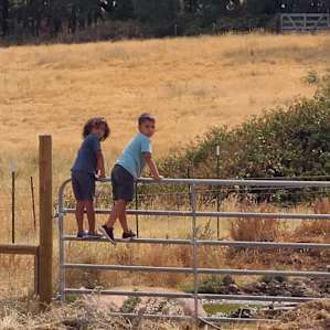 Camp at our farm sanctuary!