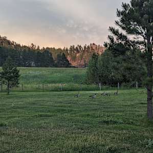 Plenty Star Ranch - Tent Camping