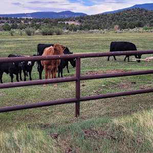 Road to the Sun Ranch