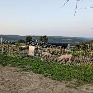 Red House Ranch Camp