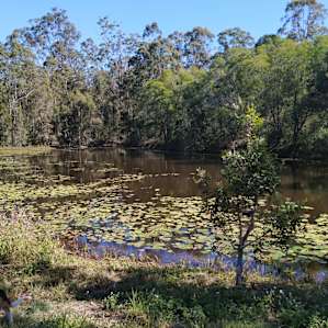 Westcloud Free Range Campsites