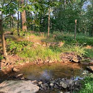 Stream Side Peninsula Tent Site