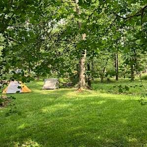 Stream Side Peninsula Tent Site