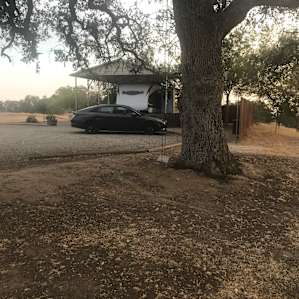 Glamping with the Goats at our Farm