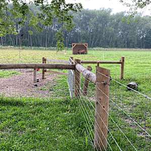 Koertland Acres GROUP CAMP