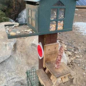 Squirrel Rock RV Campground-Single
