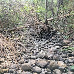 Dry creek by campground