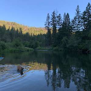 Swimming hole and Romeo.