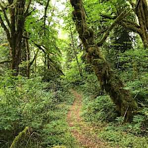 Hike to the river
