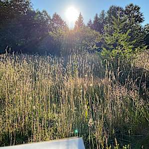 Onalaska Farm Sanctuary