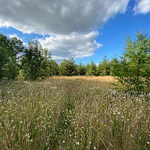 Onalaska Farm Sanctuary