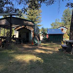 Lucky Penny, Orchard Lawn Campsite