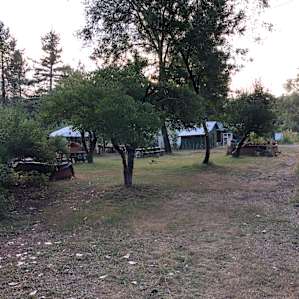 Lucky Penny, Orchard Lawn Campsite