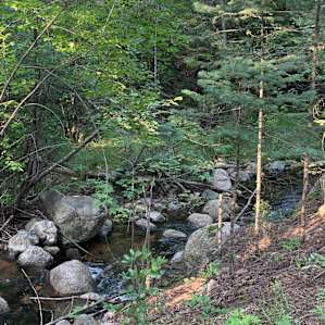 Blue Mountain Reserve