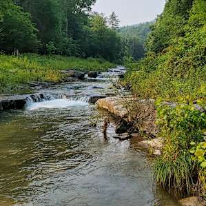 Close to rv site is this beautiful creek.