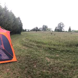 The view when sitting at the pic-nic table.