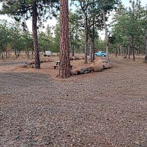 Wooded property with wildlife.