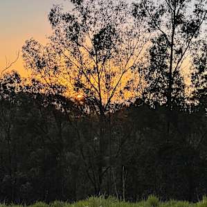 Sunrise