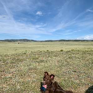 Mountain View Near Eleven Mile