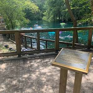Nearby manatee springs