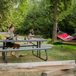 Hammock and a picnic table, lots of options for hanging out!