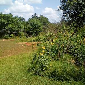 Medical Marijuana Friendly Farm OKC