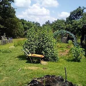 Medical Marijuana Friendly Farm OKC