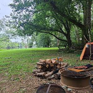 Warren Ferry Landing - Tent Camping