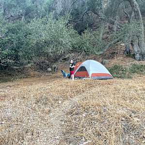 Nestled In An Ancient Oak Grove.