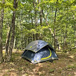 Tent camping in woodland paradise