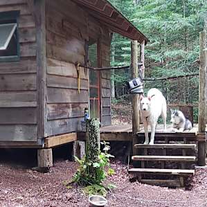 Possum Creek Campground