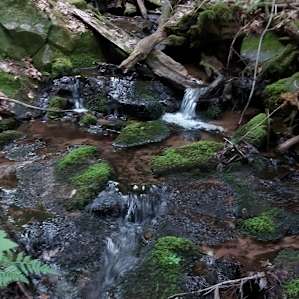 Possum Creek Campground
